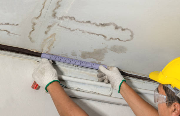 Reliable Mold Remediation contractor in Bridgeport, NE by Water Damage Irwin
